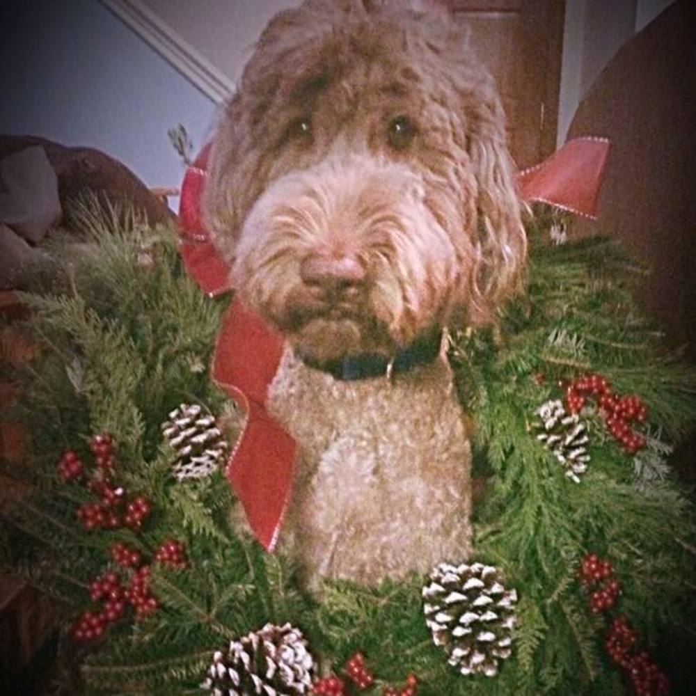 Meet your Posher, Faith